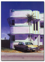 thumbflamingopark1